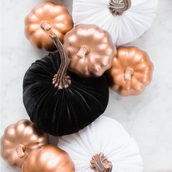 Meet your Posher, Esme - Picture 4 of 4